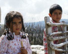 פסטיבל סרטי ילדים ונוער, פעילויות לילדים, אירועי החופש הגדול